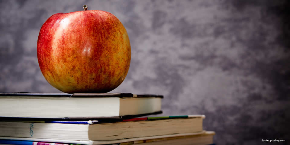 Como combater a inadimplência nas escolas?
