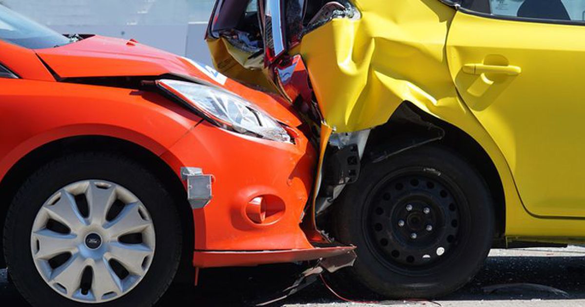 Imagem de capa: Quem Realmente Responde Pelos Danos Causados Por Um Animal?